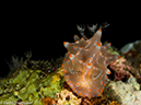 %_tempFileName2015-05-05_03_Bubbles-5050416%