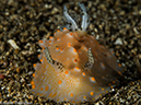 %_tempFileName2015-05-05_03_Bubbles-5050444%