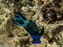 %_tempFileName2015-05-06_03_Sunview-5060550%