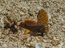 %_tempFileName2015-05-07_01_Red_Rock-5070658%