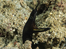 %_tempFileName2015-05-07_01_Red_Rock-5070707%