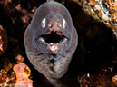 %_tempFileName2015-05-07_02_Masyut_Cove-5070729%