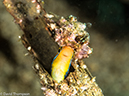 %_tempFileName2015-05-07_02_Masyut_Cove-5070777%