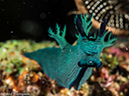 %_tempFileName2015-05-07_02_Masyut_Cove-5070792%