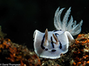 %_tempFileName2015-05-07_02_Masyut_Cove-5070807%