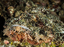 %_tempFileName2015-05-07_02_Masyut_Cove-5070822%