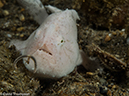 %_tempFileName2015-05-07_04_Balanoy-5070793%
