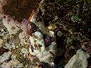 %_tempFileName2015-05-08_03_Mato_Point-5080880%