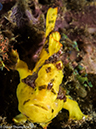 %_tempFileName2015-05-08_03_Mato_Point-5080898%