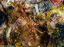 %_tempFileName2015-05-08_03_Mato_Point-5080920%
