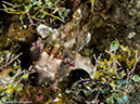 %_tempFileName2015-05-08_03_Mato_Point-5080926%