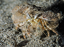 %_tempFileName2015-05-08_04_Pier-5080938%
