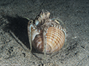 %_tempFileName2015-05-08_04_Pier-5080982%