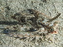 %_tempFileName2015-05-08_04_Pier-5080995%