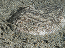 %_tempFileName2015-05-08_04_Pier-5081003%