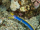 %_tempFileName2015-05-09_01_Masnit_Cove-5091063%