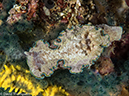 %_tempFileName2015-05-09_01_Masnit_Cove-5091141%