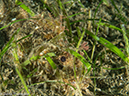 %_tempFileName2015-05-09_02_Bubbles-5091175%