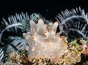 %_tempFileName2015-05-09_02_Bubbles-5091198%