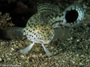 %_tempFileName2015-05-09_02_Bubbles-5091213%