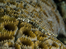 %_tempFileName2015-05-09_02_Bubbles-5091252%