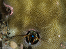 %_tempFileName2015-05-09_04_Secret_Bay-5091117%