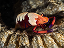 %_tempFileName2015-05-09_04_Secret_Bay-5091134%