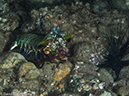 %_tempFileName2015-05-09_04_Secret_Bay-5091144%