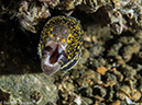%_tempFileName2015-05-09_04_Secret_Bay-5091166%