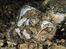 %_tempFileName2015-05-09_04_Secret_Bay-5091183%