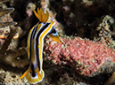 %_tempFileName2015-05-10_01_Minilog-5101280%