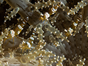 %_tempFileName2015-05-10_01_Minilog-5101312%
