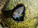 %_tempFileName2015-05-10_01_Minilog-5101318%