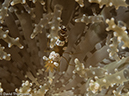 %_tempFileName2015-05-10_01_Minilog-5101324%