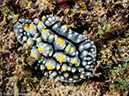 %_tempFileName2015-05-10_02_Bethlehem-5101343%