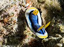 %_tempFileName2015-05-10_02_Bethlehem-5101412%