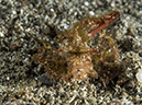 %_tempFileName2015-05-10_03_Cocnut-5101272%