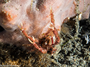 %_tempFileName2015-05-10_04_Cocnut-5101311%