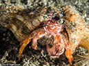 %_tempFileName2015-05-10_04_Cocnut-5101323%