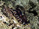 %_tempFileName2015-05-10_04_Cocnut-5101352%