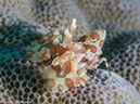 %_tempFileName2015-05-11_02_Cavan_Cove-5111519%