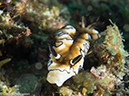 %_tempFileName2015-05-11_02_Cavan_Cove-5111527%