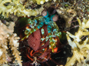 %_tempFileName2015-05-11_02_Cavan_Cove-5111587%