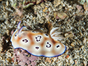 %_tempFileName2015-05-11_04_House_Reef-5111478%