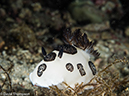 %_tempFileName2015-05-11_04_House_Reef-5111483%