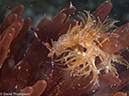 %_tempFileName2015-05-12_01_Red_Rock_Left-5121670%