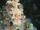 %_tempFileName2015-05-12_02_Red_Rock_Right-5121828%