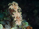 %_tempFileName2015-05-12_02_Red_Rock_Right-5121829%