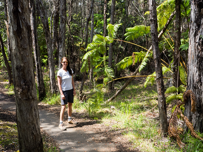 %_tempFileName2015-05-20_05_Devastation_Trail_Volcano_National_Park-5201951%