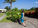 %_tempFileName2015-05-14_01_Luana_Inn_Kona-5151602%